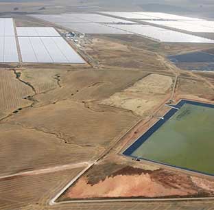 Soluz-Guzman-Hero_Mobile